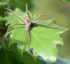 301634 – Photo : Liliane Delattre – France (30)